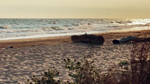 Sunset on the beach in Golubitskaya.  Stock Footage 264586281