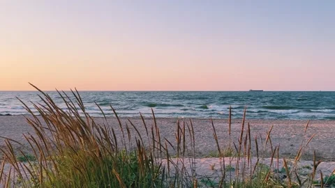 Sunset on the beach in Golubitskaya.  Stock Footage 264587513