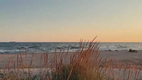 Sunset on the beach in Golubitskaya.  Stock Footage 264587548