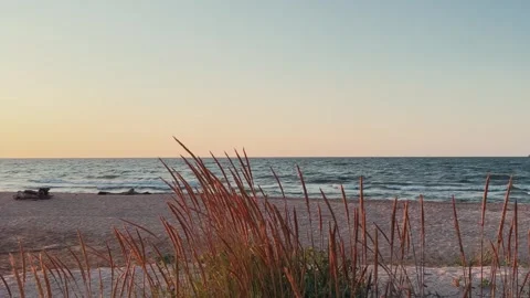 Sunset on the beach in Golubitskaya.  Stock Footage 264587568