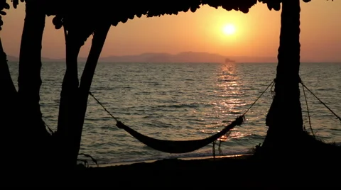 Sunset beach hammock with trees Stock Footage 61934784