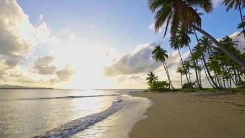 Sunset beach landscape. The evening sky reflects on the wet sand. Stock Footage 344579847
