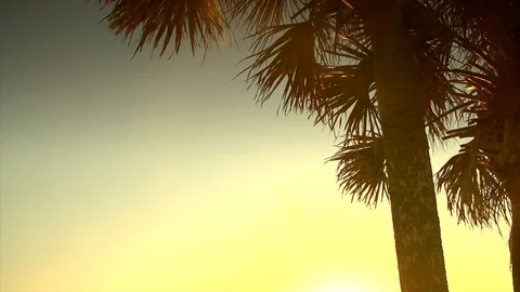 Sunset by the beach. Large lens flare. pan Video stock 106879987