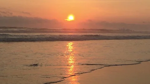 Sunset at Beach, Lone Bird by Ocean Stock Footage 49075694