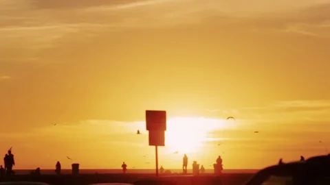 Sunset on the beach in Los Angeles Stock Footage 72446267