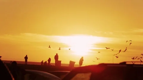 Sunset on the beach in Los Angeles Stock Footage 72446361