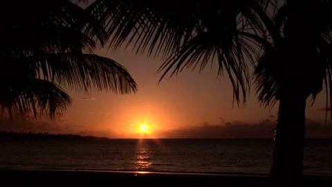 Sunset on the Beach Manuel Nolo Morales at Dorado 库存影片 332389707