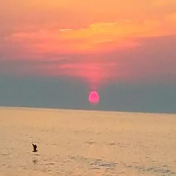 Sunset on the beach over the ocean Stockfoto's