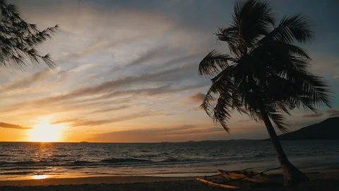 Sunset on the beach with a palm tree in Madagascar Stock Footage 88333714