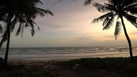 Sunset on a beach with palm trees and gentle waves Stock-Fotos