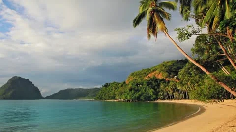 Sunset on the beach with palm trees loop Stock Footage 11333734