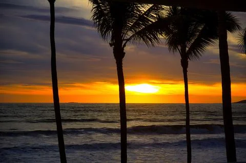 Sunset on the beach with palm trees Stock Photos