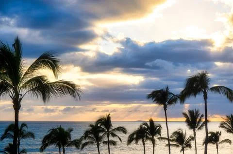 Sunset on the beach with palm trees Stock Photos