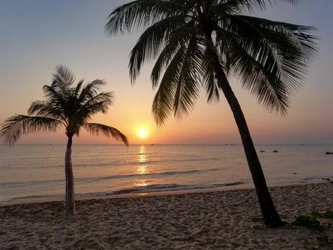 Sunset beach with palm trees in Phu Quoc Vietnam Stock-Fotos