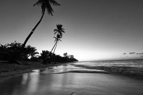 Sunset on the beach. Paradise beach. Tropical paradise, white sand, beach, pa Foto stock
