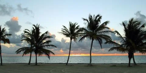 Sunset on the beach Stock Photos