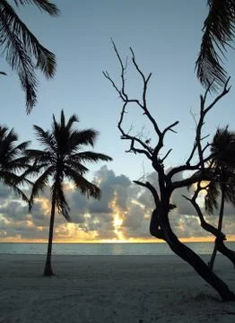 Sunset on the beach Stock-Fotos