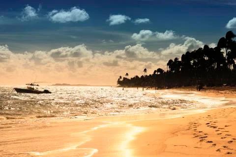 Sunset beach Stock Photos