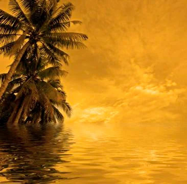 Sunset beach Stock Photos