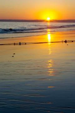 Sunset in the beach Stock Photos