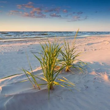 Sunset on the beach Foto stock