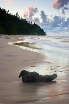 Sunset on the beach 写真素材