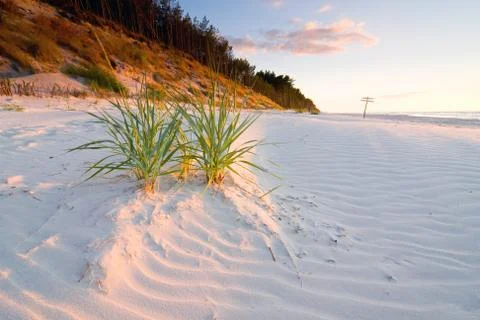 Sunset on the beach 스톡 사진