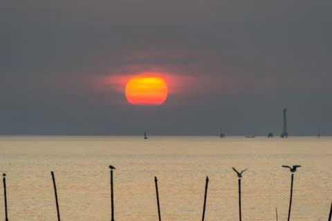 Sunset beach Stock Photos