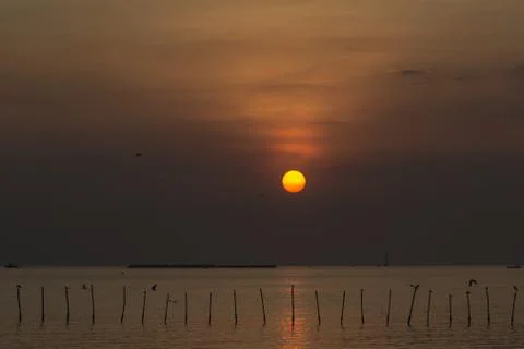 Sunset beach Stock Photos