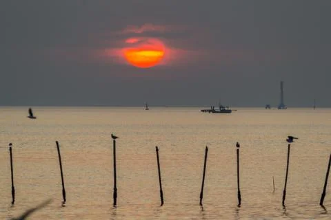 Sunset beach Stock Photos