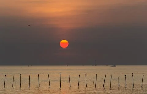 Sunset beach Stock Photos