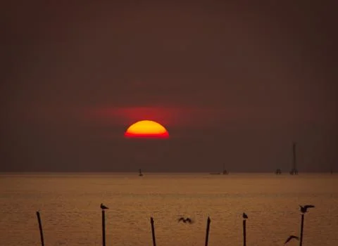 Sunset beach Stock Photos