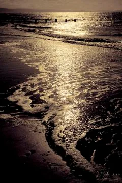 Sunset beach Stock Photos