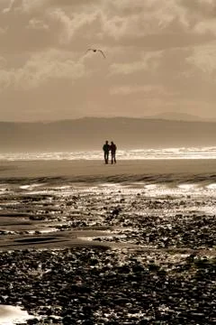 Sunset beach Stock Photos