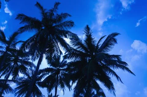 Sunset on the beach Stock Photos