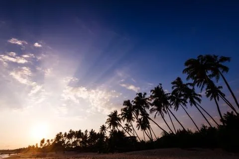 Sunset on the beach Stock Photos