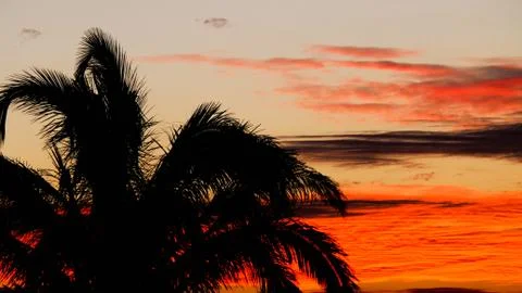 Sunset at the Beach Stock Photos
