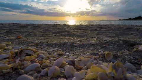 Sunset on the beach Stock Photos