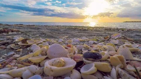 Sunset on the beach Stock Photos
