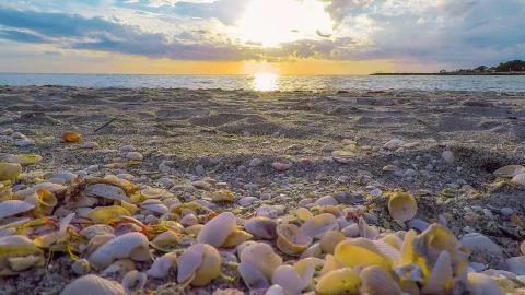 Sunset on the beach Stock Photos