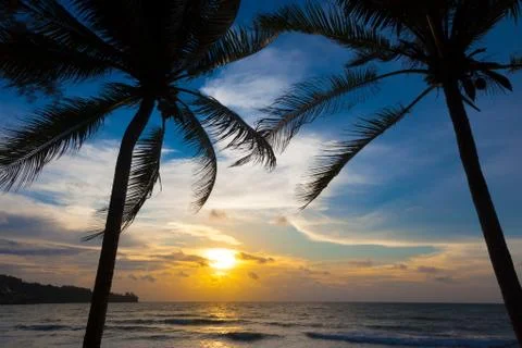 Sunset on the beach Stock Photos