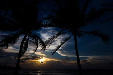 Sunset on the beach Stock Photos