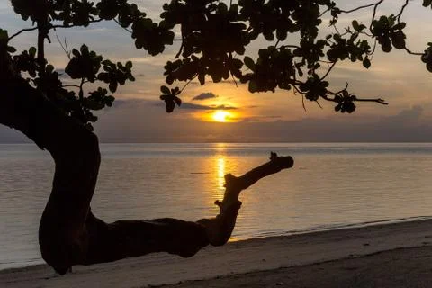 Sunset on a beach Stock Photos