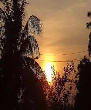 Sunset on the beach Stock Photos