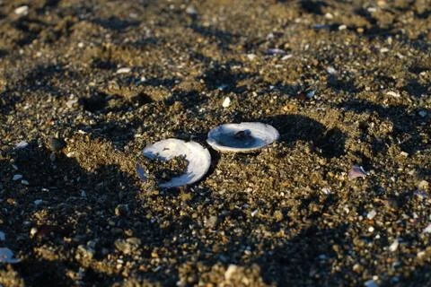 Sunset beach Stock Photos