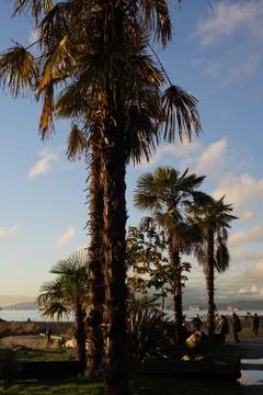 Sunset beach Stock Photos