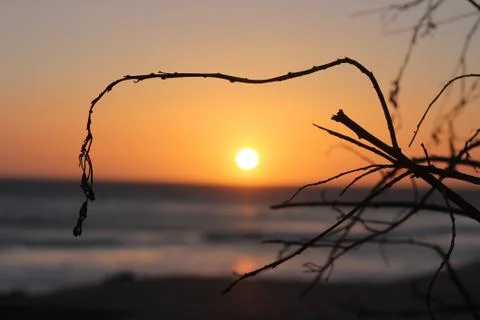 Sunset beach Stock Photos