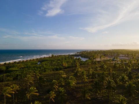Sunset on beach Foto stock