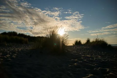 Sunset on the beach Stock Photos