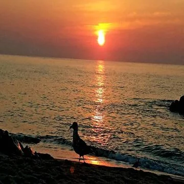 Sunset on the beach Stockfoto's